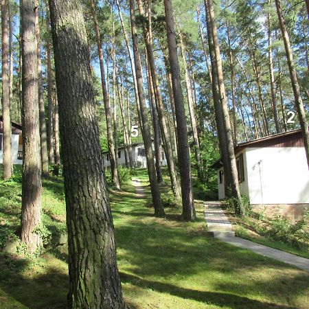 Feriendorf Mengshausen Niederaula Екстериор снимка