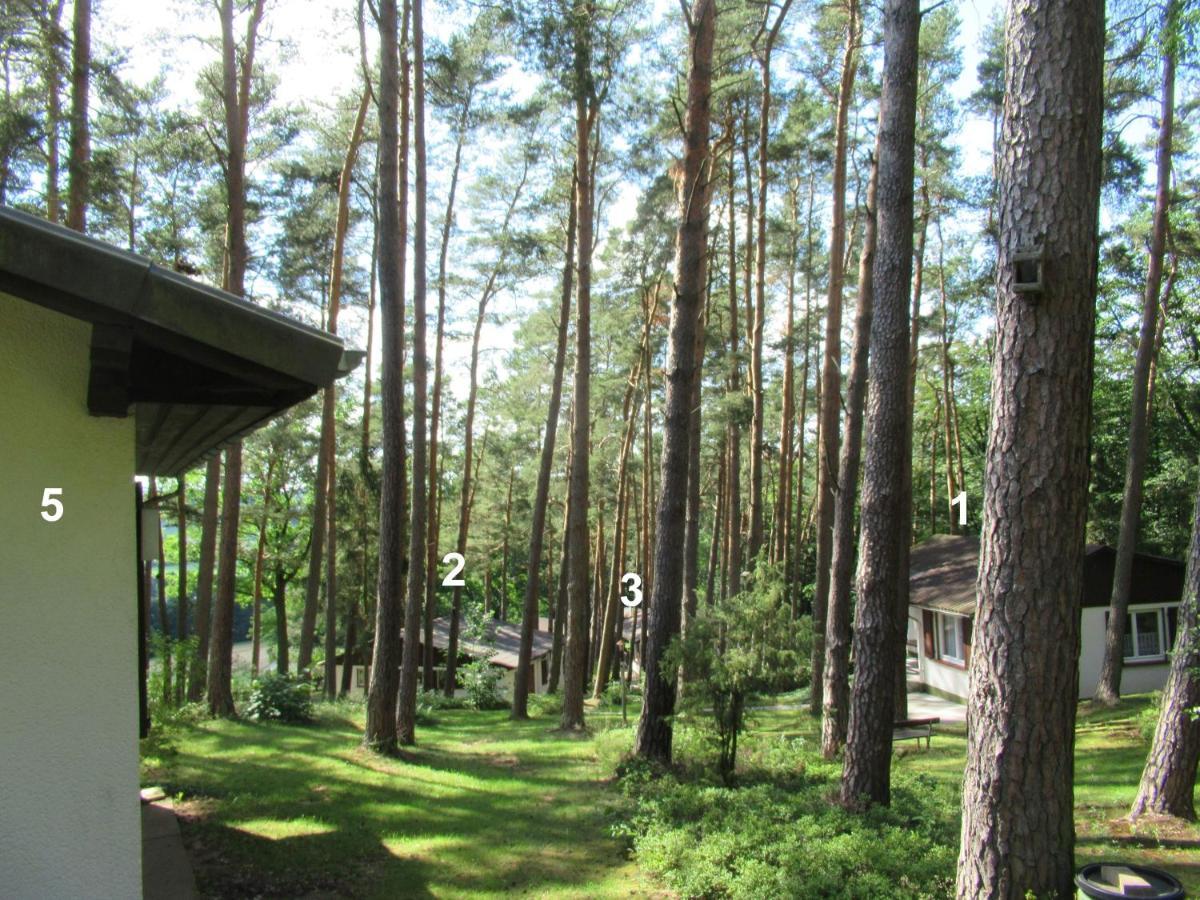 Feriendorf Mengshausen Niederaula Екстериор снимка