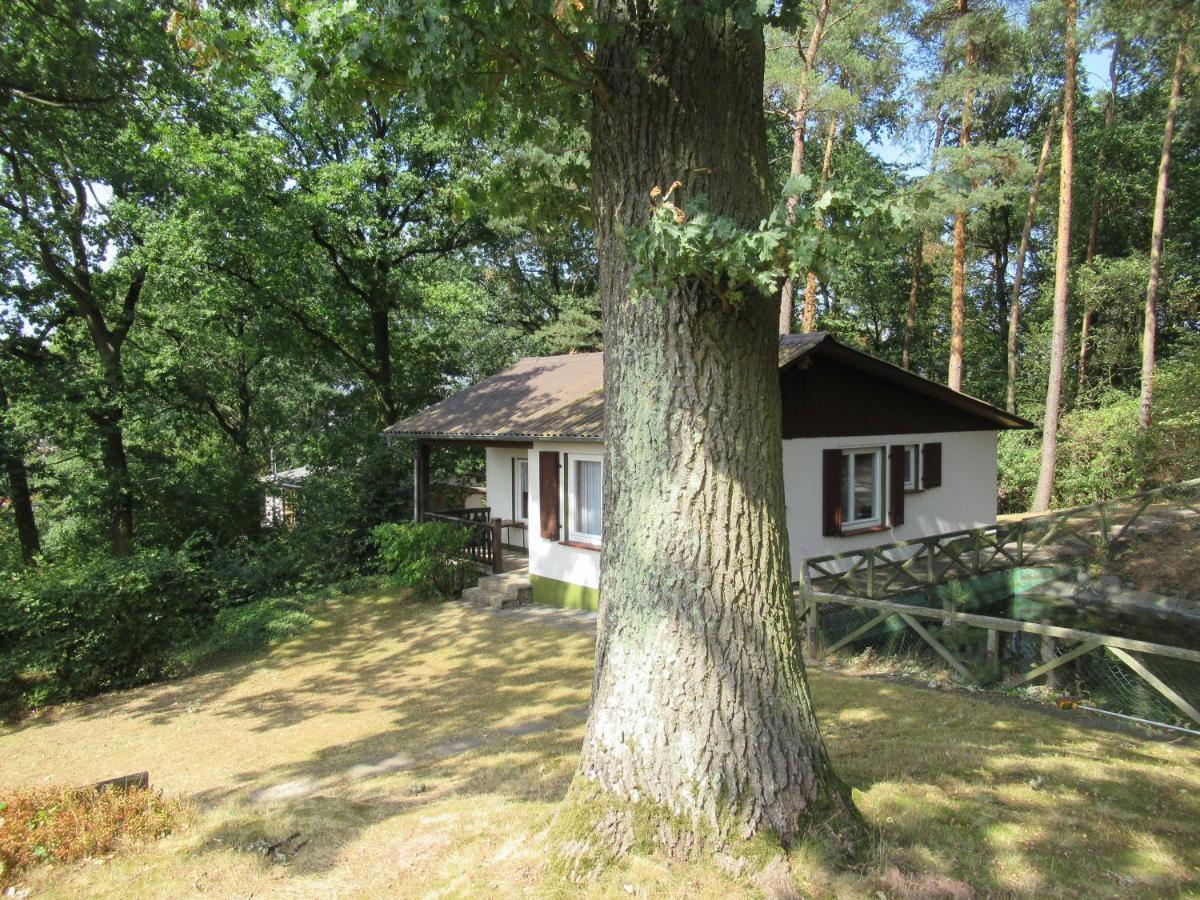 Feriendorf Mengshausen Niederaula Екстериор снимка